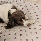 Cama para perros y gatos gruesa y acolchada 100% algodón antimanchas para mascotas 0119-19
