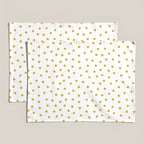 Pack 2 unidades mantel individual resinado 0120-130 100% algodón 45x35 cm