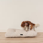 Cama para perros y gatos gruesa y acolchada 100% algodón antimanchas para mascotas 0120-178