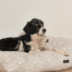 Cama para perros y gatos gruesa y acolchada 100% algodón antimanchas para mascotas 0120-182