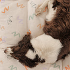 Cama para perros y gatos gruesa y acolchada 100% algodón antimanchas para mascotas 0120-201