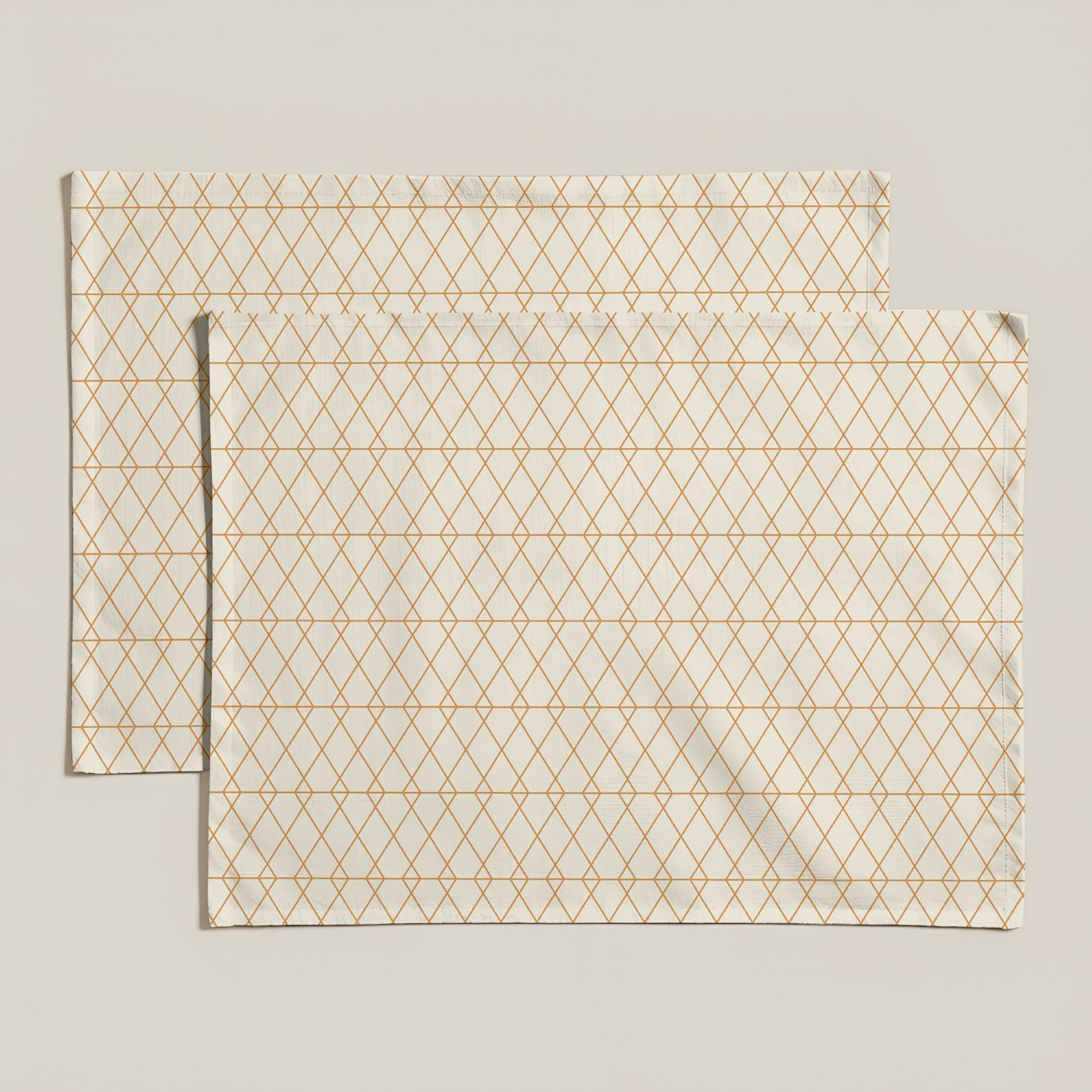 Pack 2 unidades mantel individual resinado 0120-25 - 45x35 cm