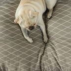 Cama para perros y gatos gruesa y acolchada 100% algodón antimanchas para mascotas 0120-294
