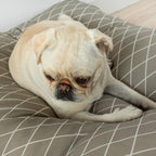 Cama para perros y gatos gruesa y acolchada 100% algodón antimanchas para mascotas 0120-294