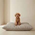 Cama para mascotas desenfundable antimanchas 0120-295