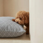 Cama para mascotas desenfundable antimanchas 0120-297