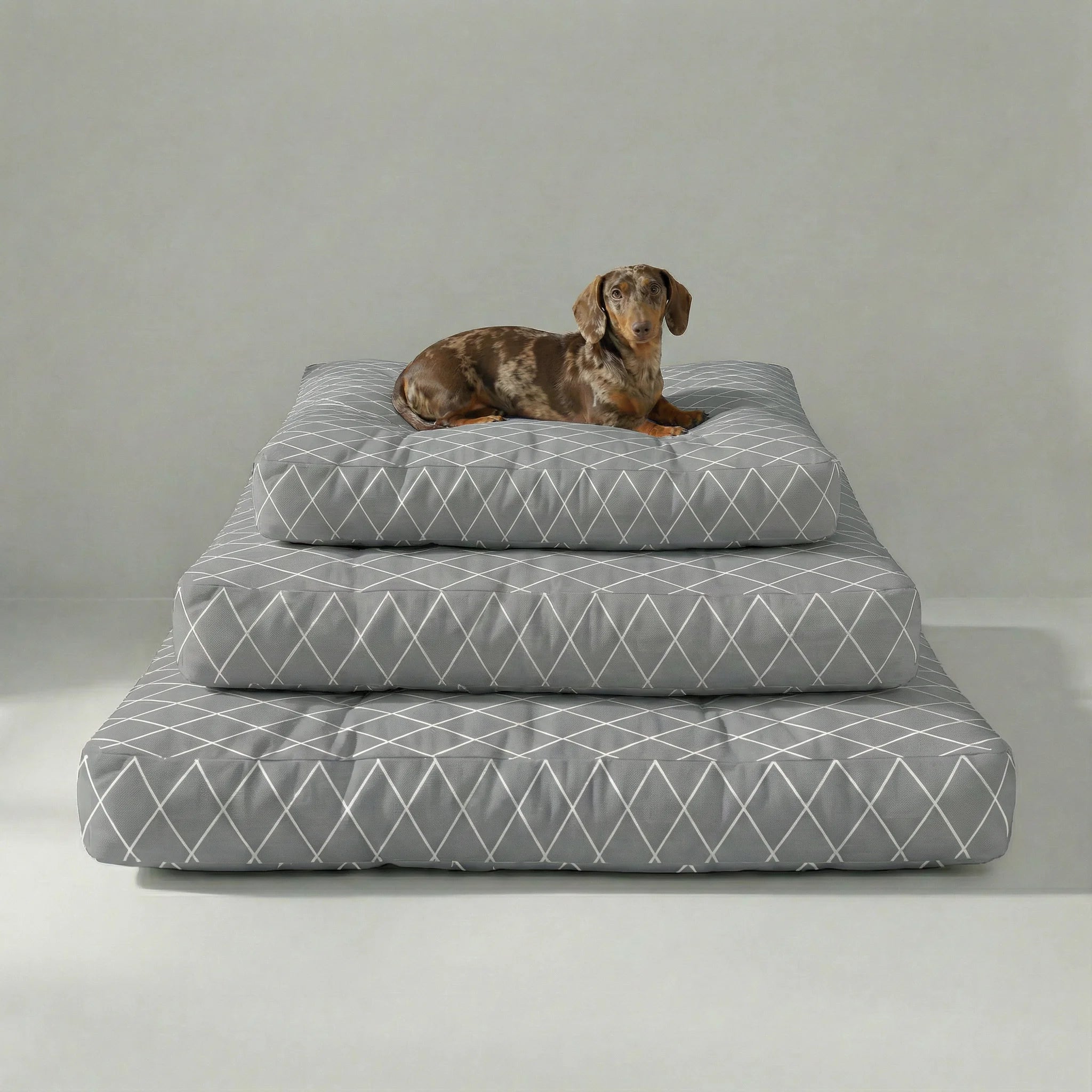 Cama para mascota gruesa y acolchada con acabado antimanchas 0120-297