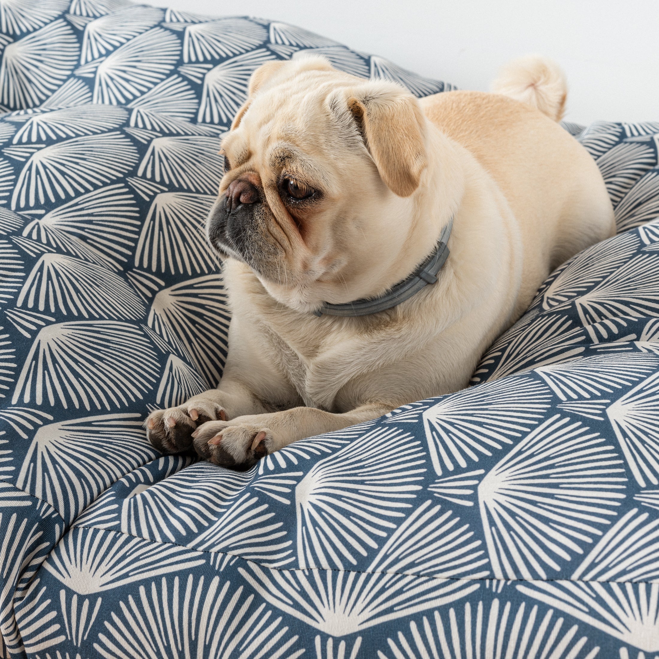 Cama para perros y gatos gruesa y acolchada 100% algodón antimanchas para mascotas 0120-299