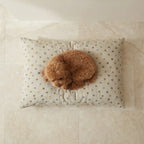 Cama para mascotas desenfundable antimanchas 0120-305
