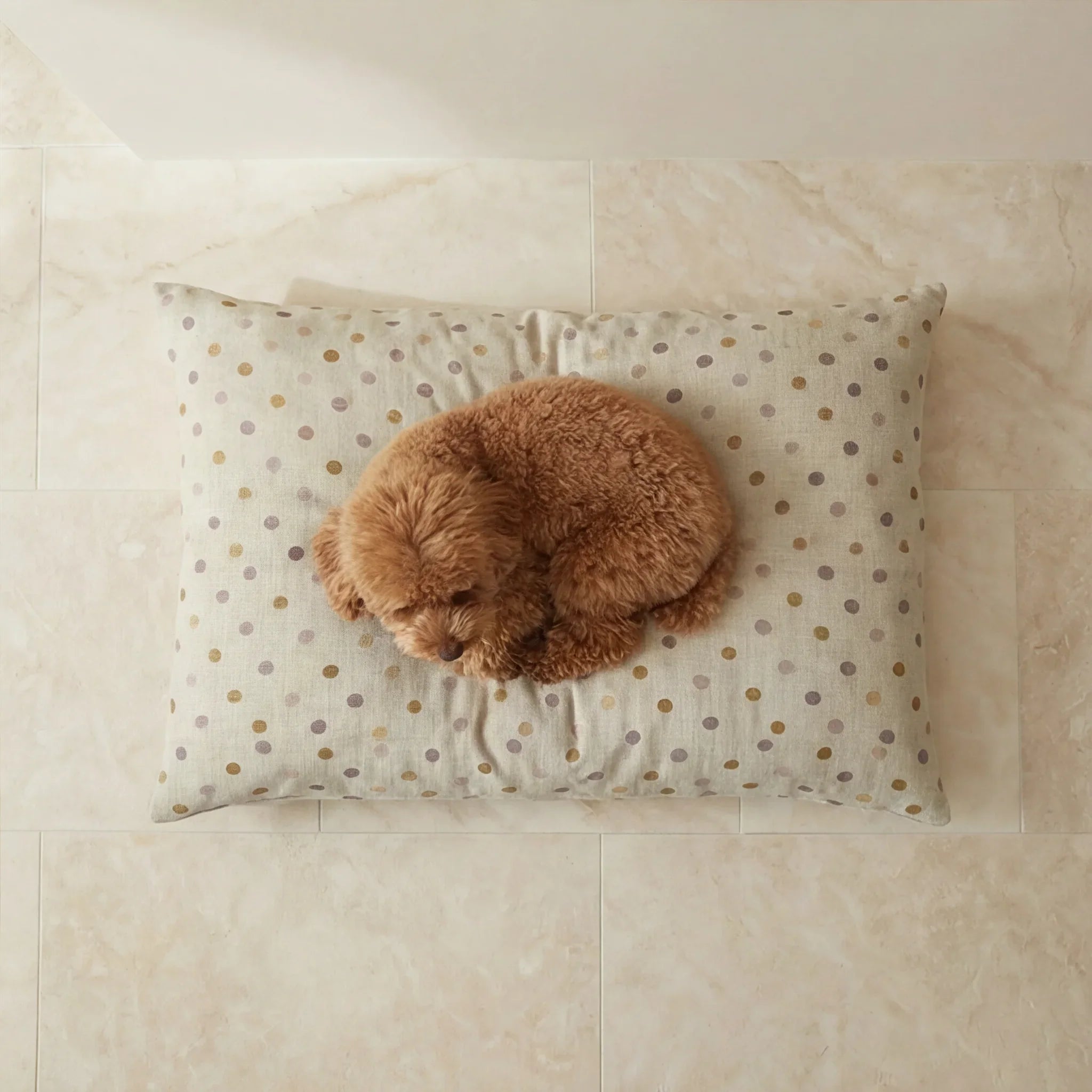 Cama para mascotas desenfundable antimanchas 0120-305
