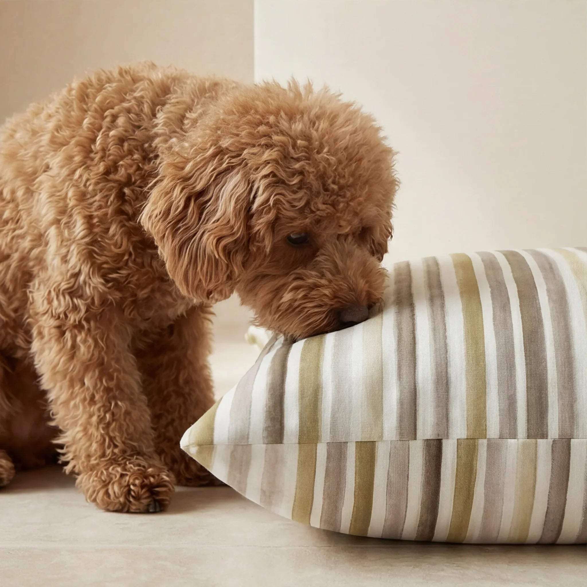 Cama para mascotas desenfundable antimanchas 0120-421
