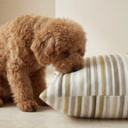 Funda para cama de mascota antimanchas 0120-421