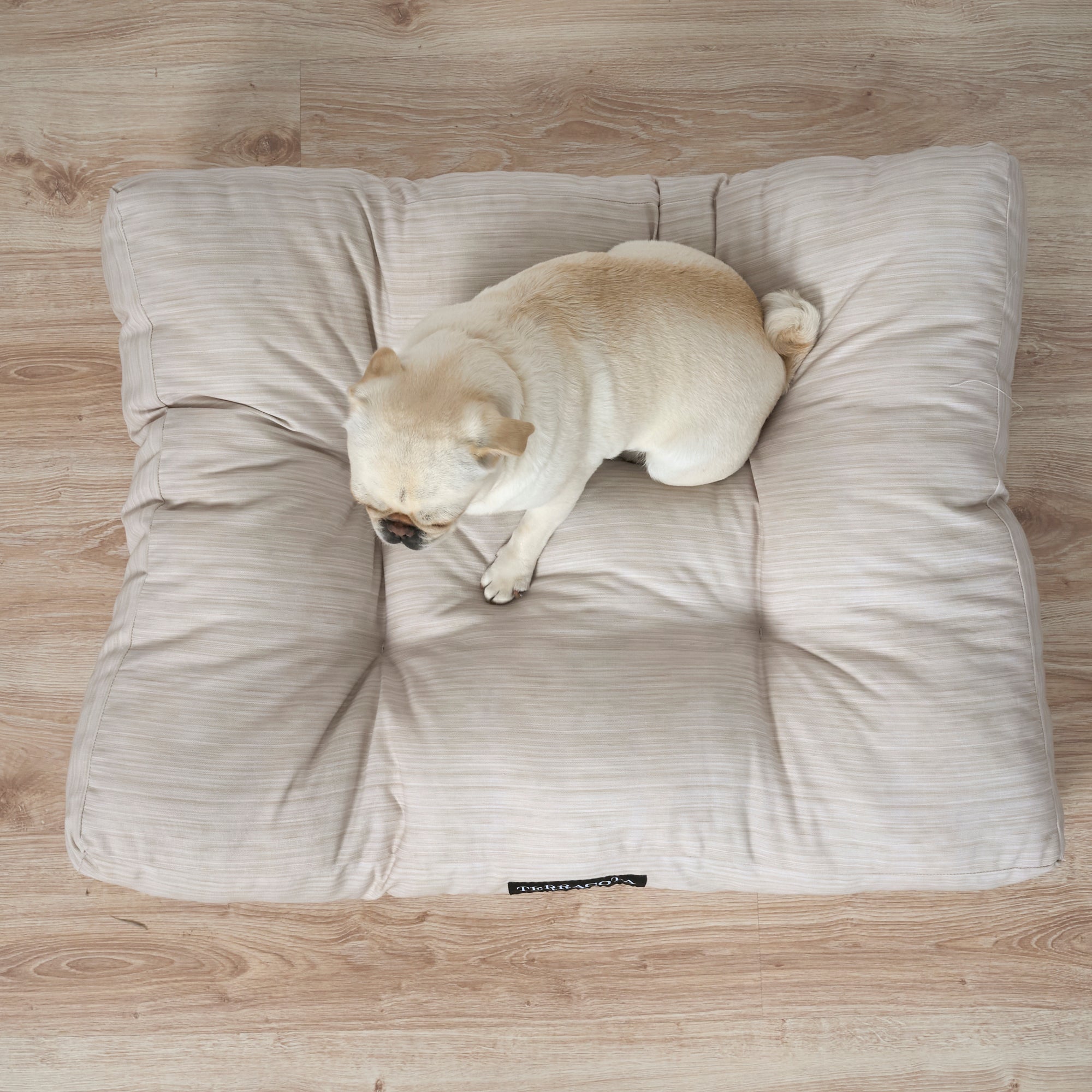 Cama para mascotas 100% algodón antimanchas Lesa 125 Beige