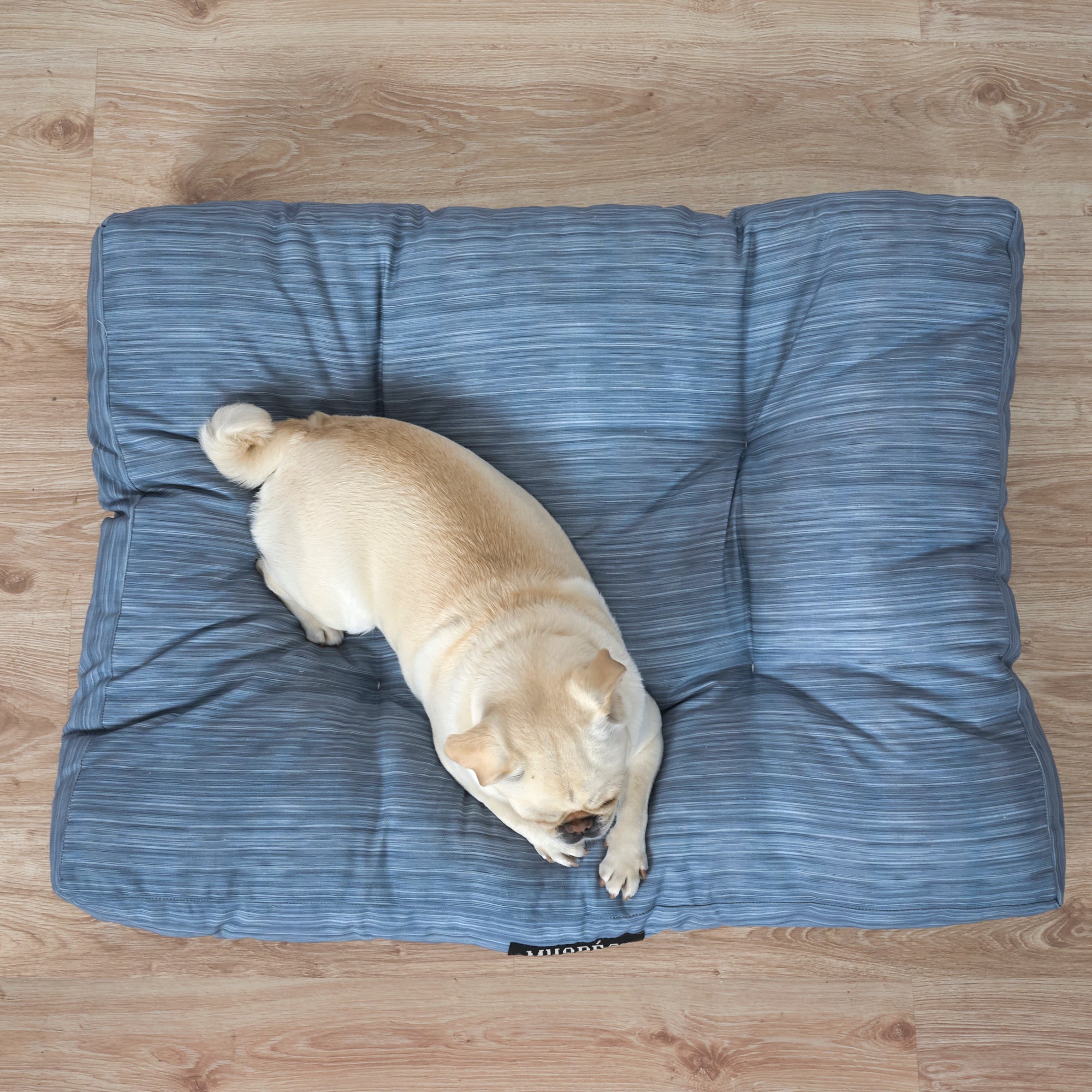Cama para mascotas 100% algodón antimanchas Lesa 125 Steel Blue