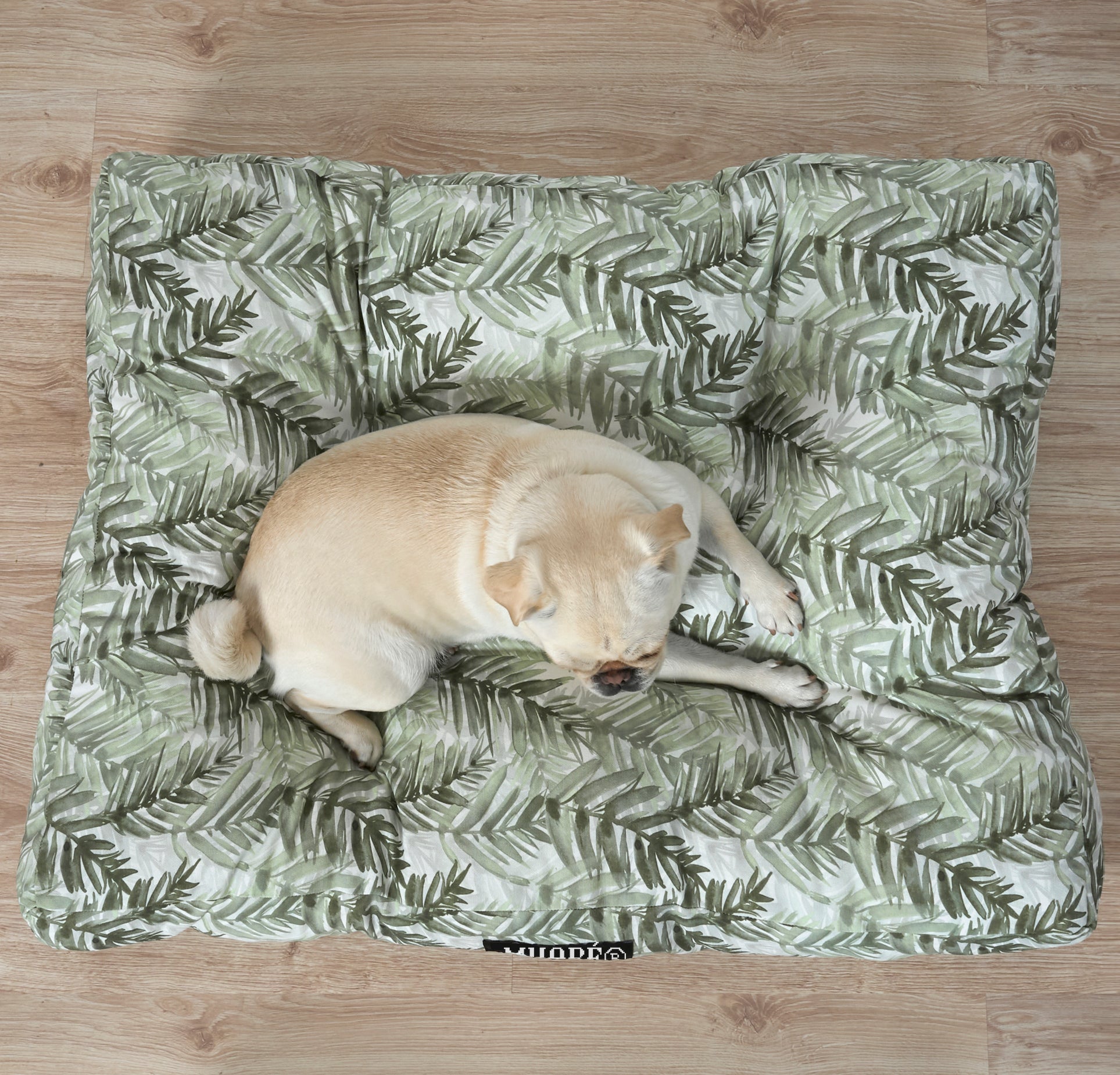 Cama para mascotas 100% algodón antimanchas Nalin 2