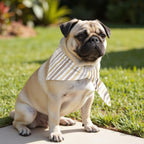 Pack 2 unidades bandana para mascotas NAIARA MARRÓN