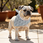 Pack 2 unidades bandana para mascotas 0120-297