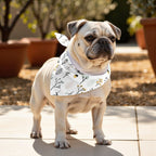 Pack 2 unidades bandana para mascotas SANTORINI