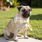 Pack 2 unidades bandana para mascotas MORELLA A