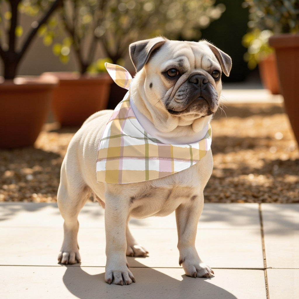 Pack 2 unidades bandana para mascotas MORELLA A