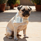 Pack 2 unidades bandana para mascotas Peñíscola