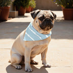 Pack 2 unidades bandana para mascotas Vera