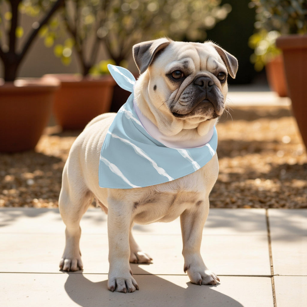 Pack 2 unidades bandana para mascotas Vera