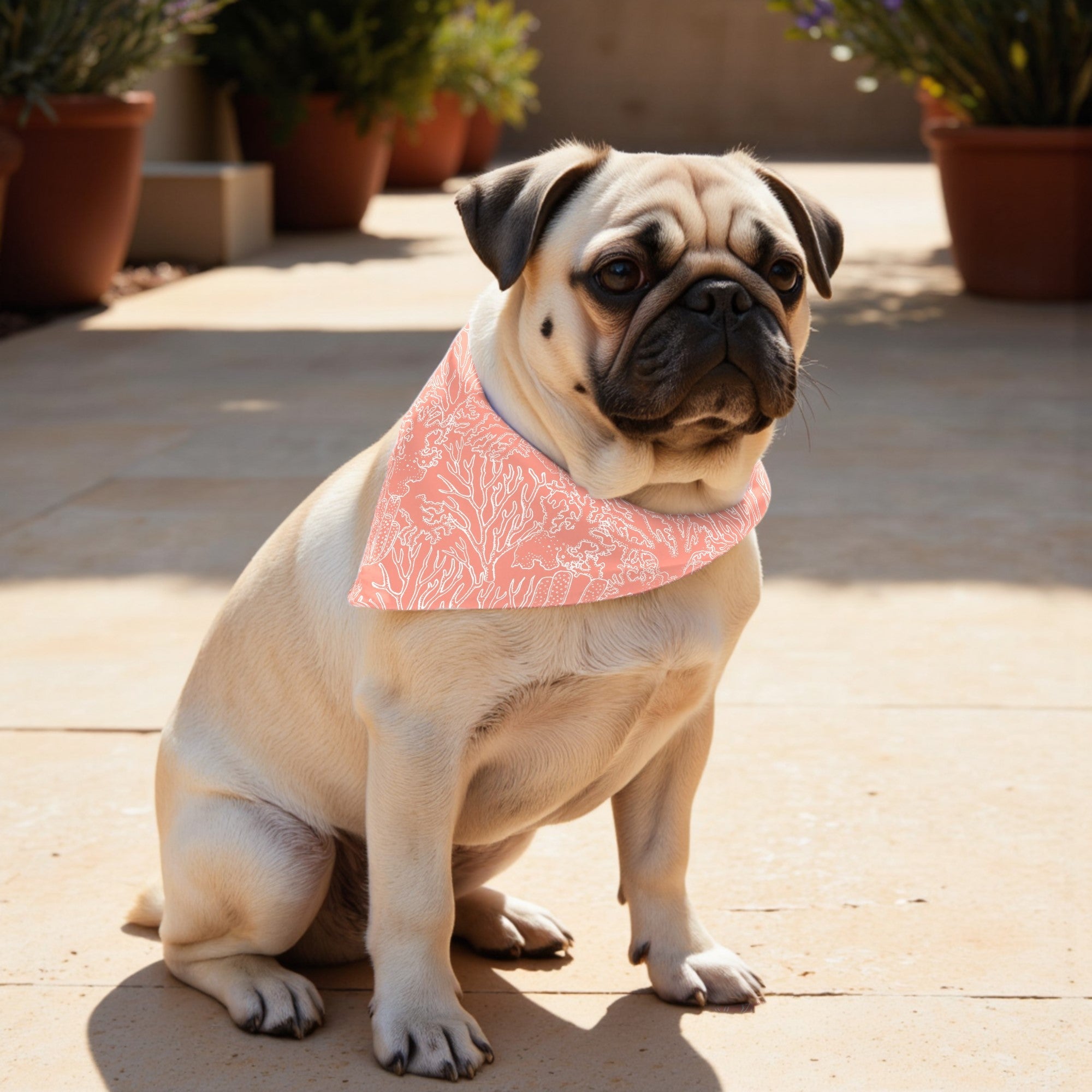 Pack 2 unidades bandana para mascotas Estarit Coral