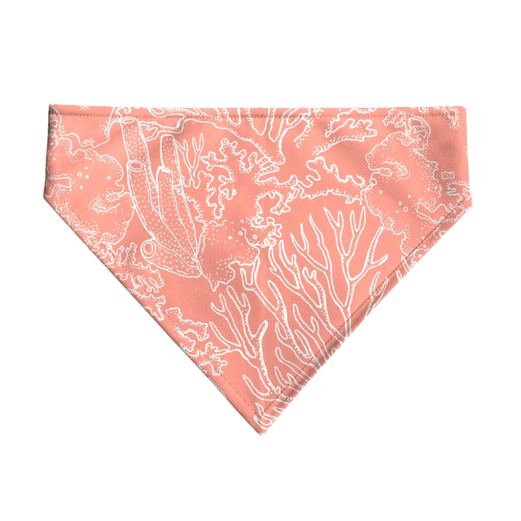 Pack 2 unidades bandana para mascotas Estarit Coral