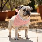 Pack 2 unidades bandana para mascotas Estarit Coral