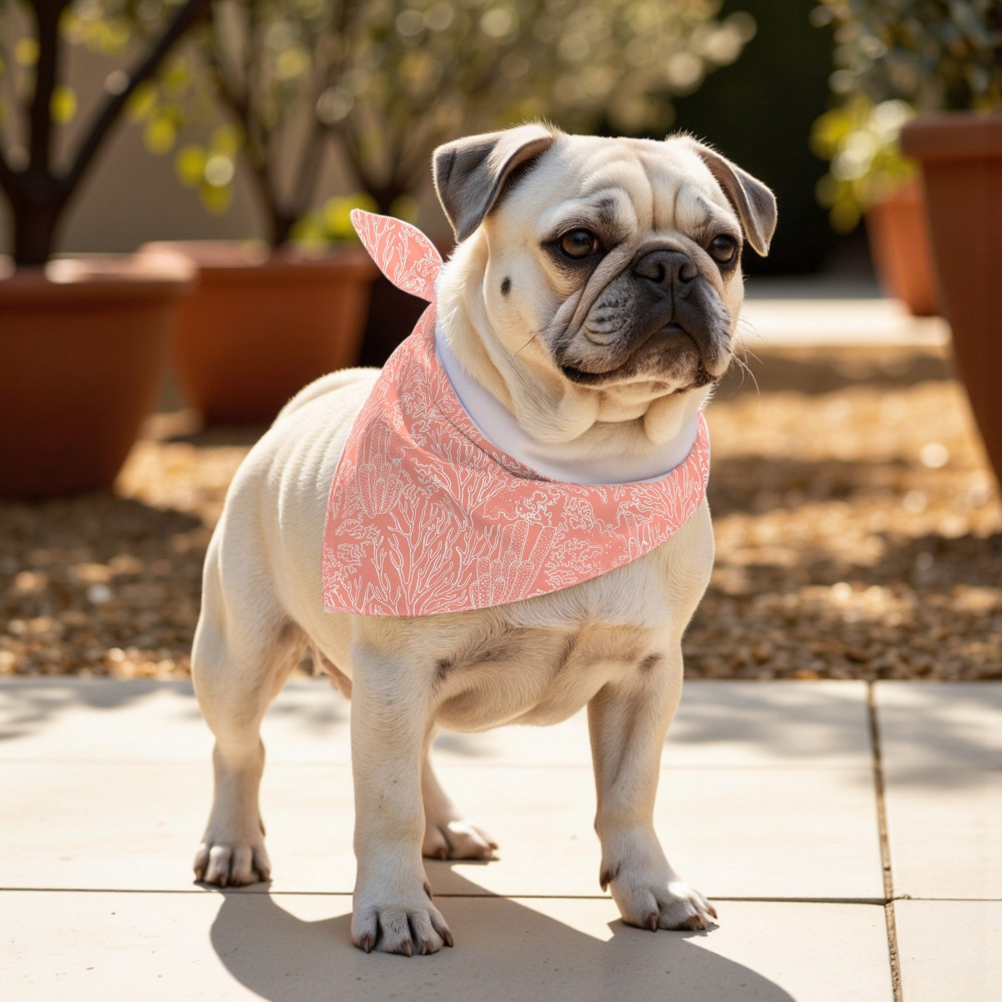 Pack 2 unidades bandana para mascotas Estarit Coral