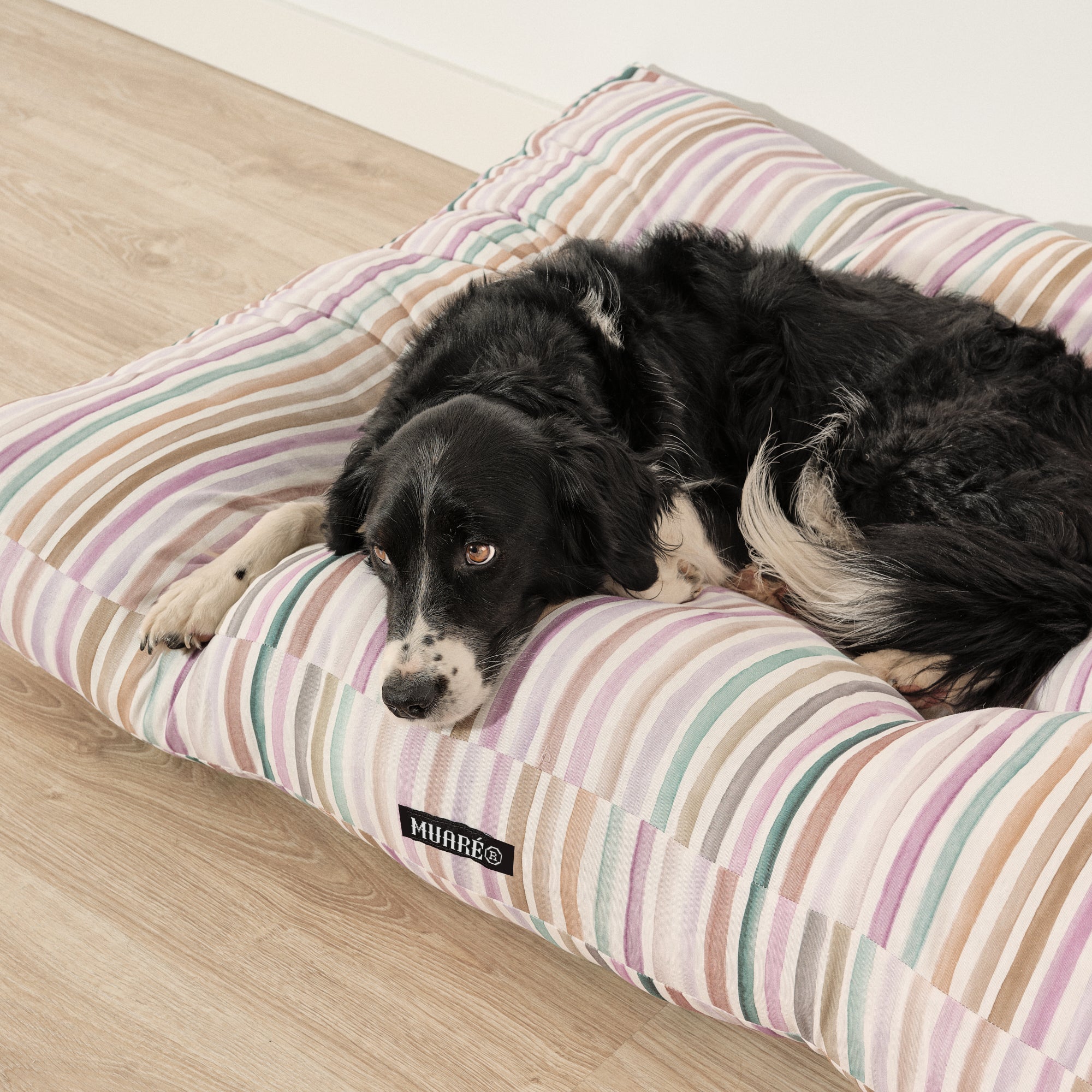 Cama para mascotas 100% algodón antimanchas Naiara 4-100