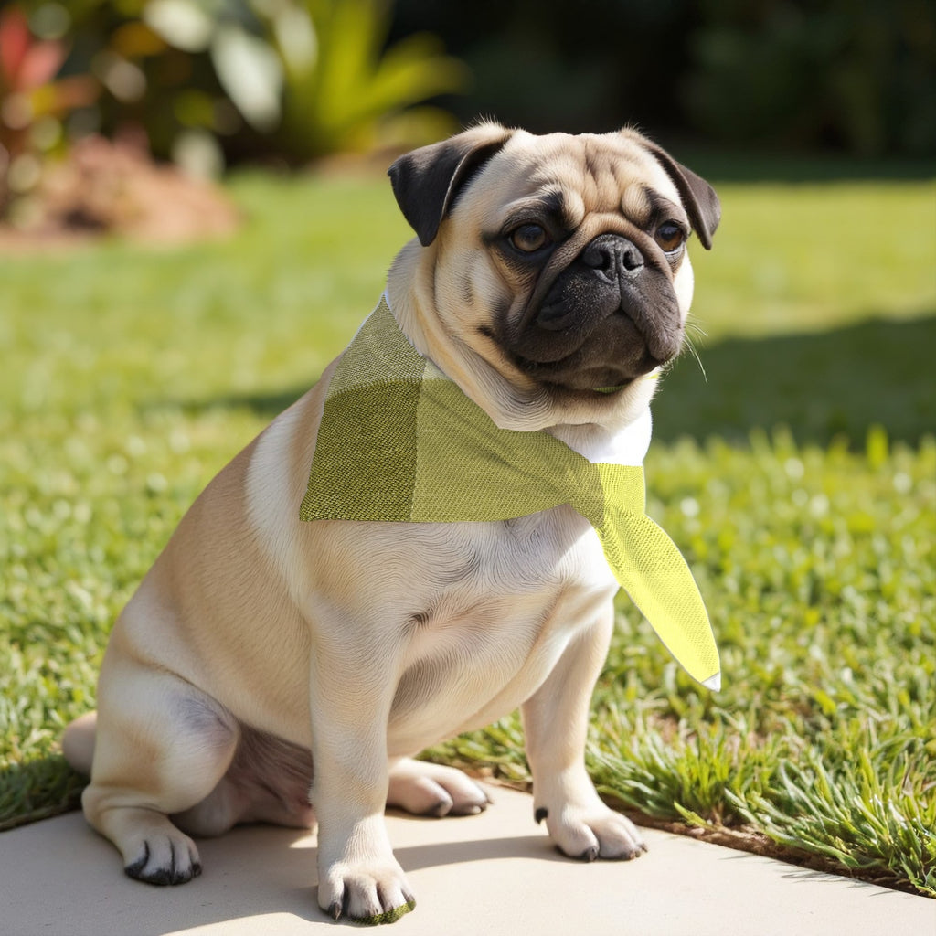Pack 2 unidades bandana para mascotas Bath verde