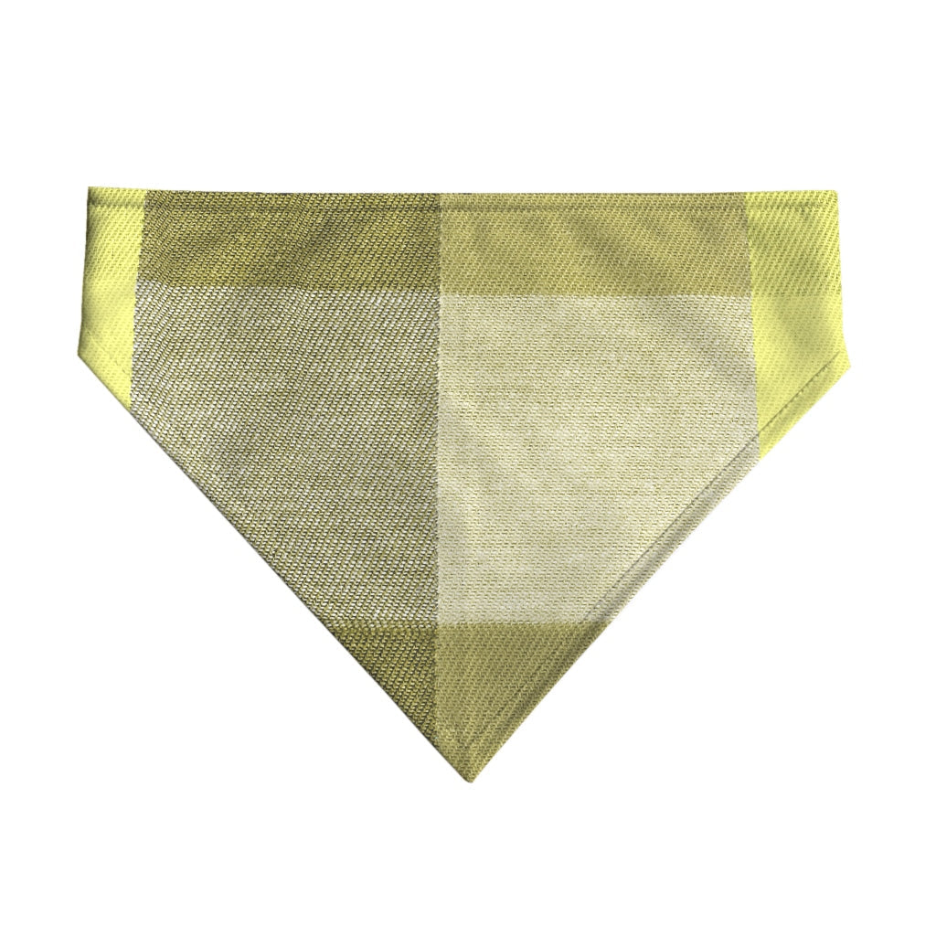 Pack 2 unidades bandana para mascotas Bath verde