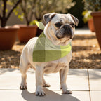 Pack 2 unidades bandana para mascotas Bath verde