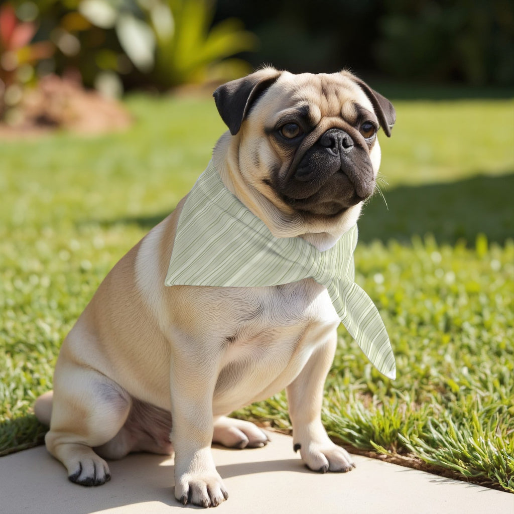 Pack 2 unidades bandana para mascotas LESA 125 DESERT SAGE