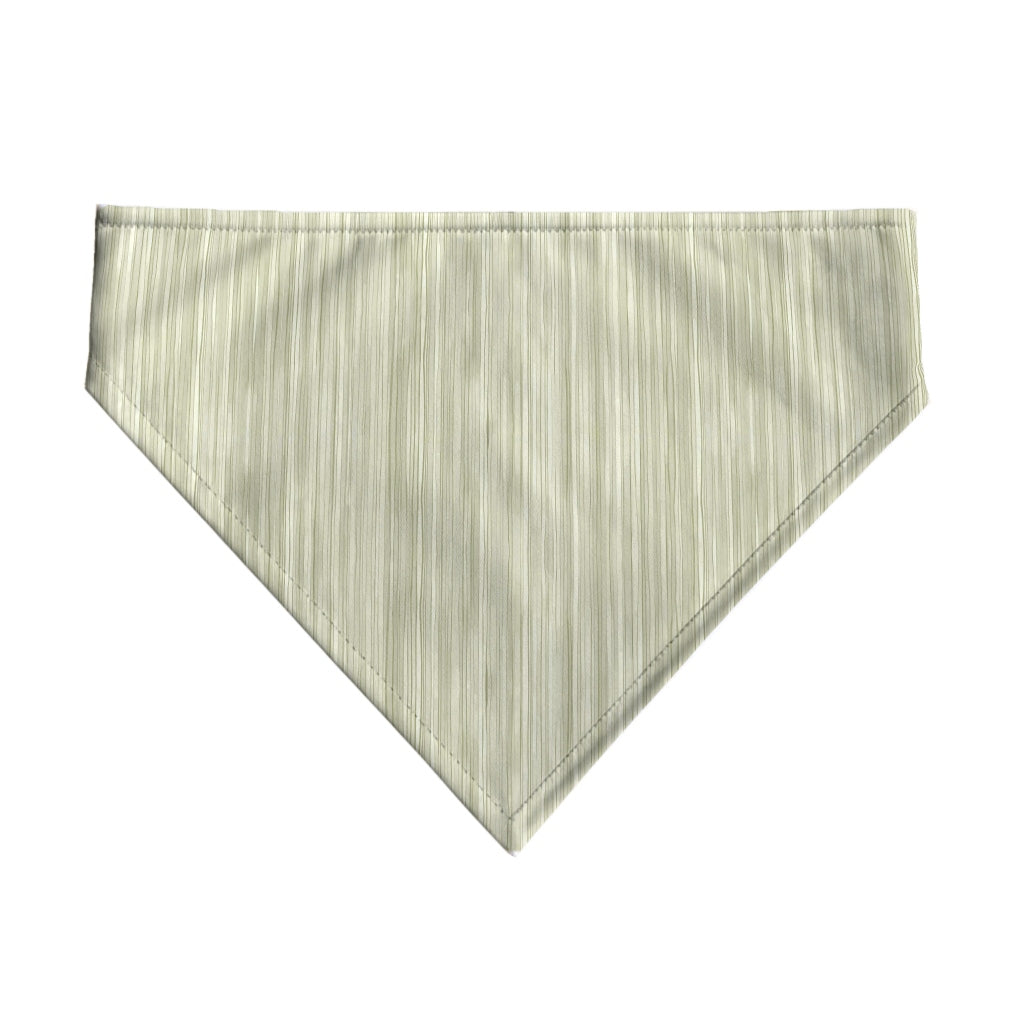 Pack 2 unidades bandana para mascotas LESA 125 DESERT SAGE