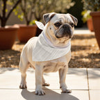 Pack 2 unidades bandana para mascotas LESA 125 BEIG