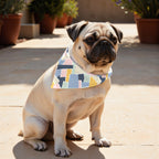 Pack 2 unidades bandana para mascotas 0120-141