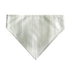 Pack 2 unidades bandana para mascotas LLUC VERDE