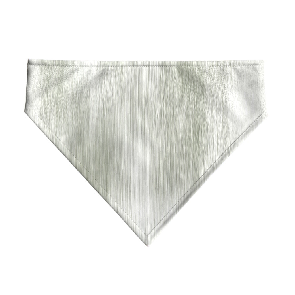 Pack 2 unidades bandana para mascotas LLUC VERDE