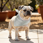 Pack 2 unidades bandana para mascotas LLUC VERDE