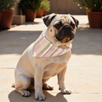 Pack 2 unidades bandana para mascotas EXETER VERDE