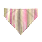 Pack 2 unidades bandana para mascotas EXETER VERDE