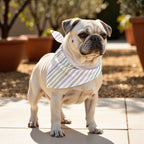 Pack 2 unidades bandana para mascotas NAIARA 4-100