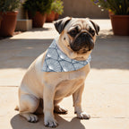 Pack 2 unidades bandana para mascotas 0120-299