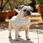 Pack 2 unidades bandana para mascotas 0120-305