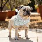 Pack 2 unidades bandana para mascotas ASENA 4