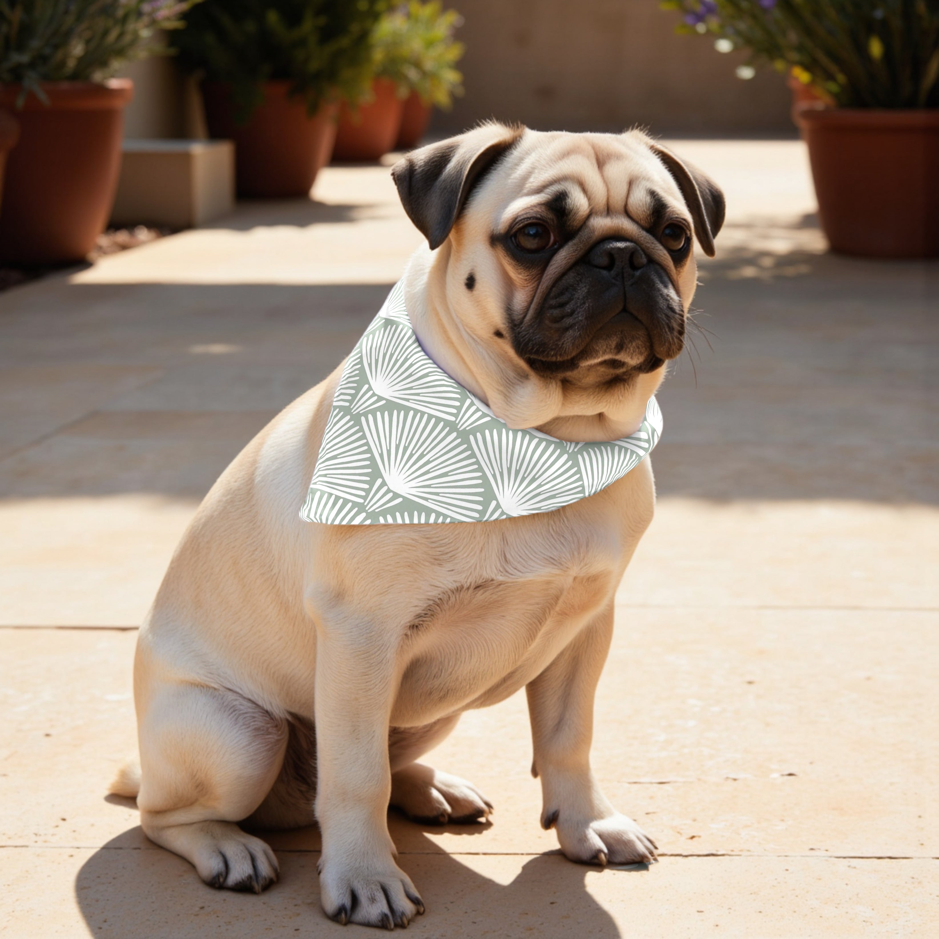 Pack 2 unidades bandana para mascotas ASENA 4