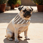 Pack 2 unidades bandana para mascotas BOLTON 6 RED.